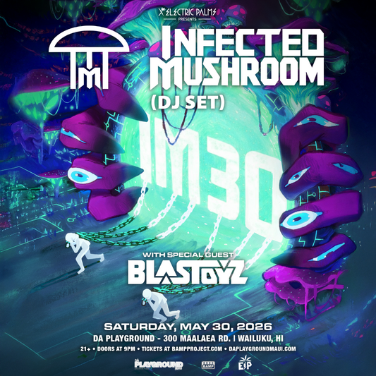 INFECTED MUSHROOM DJ SET